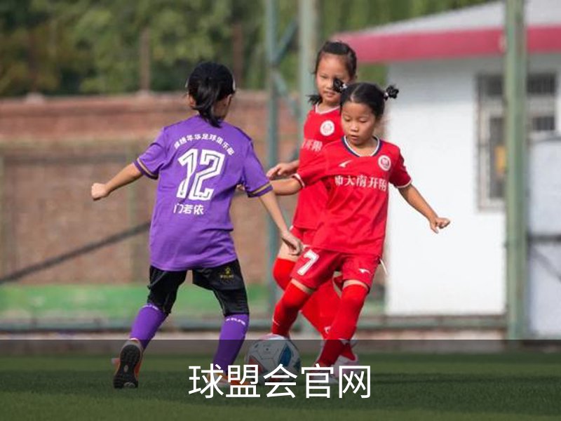 走进球盟会官网
